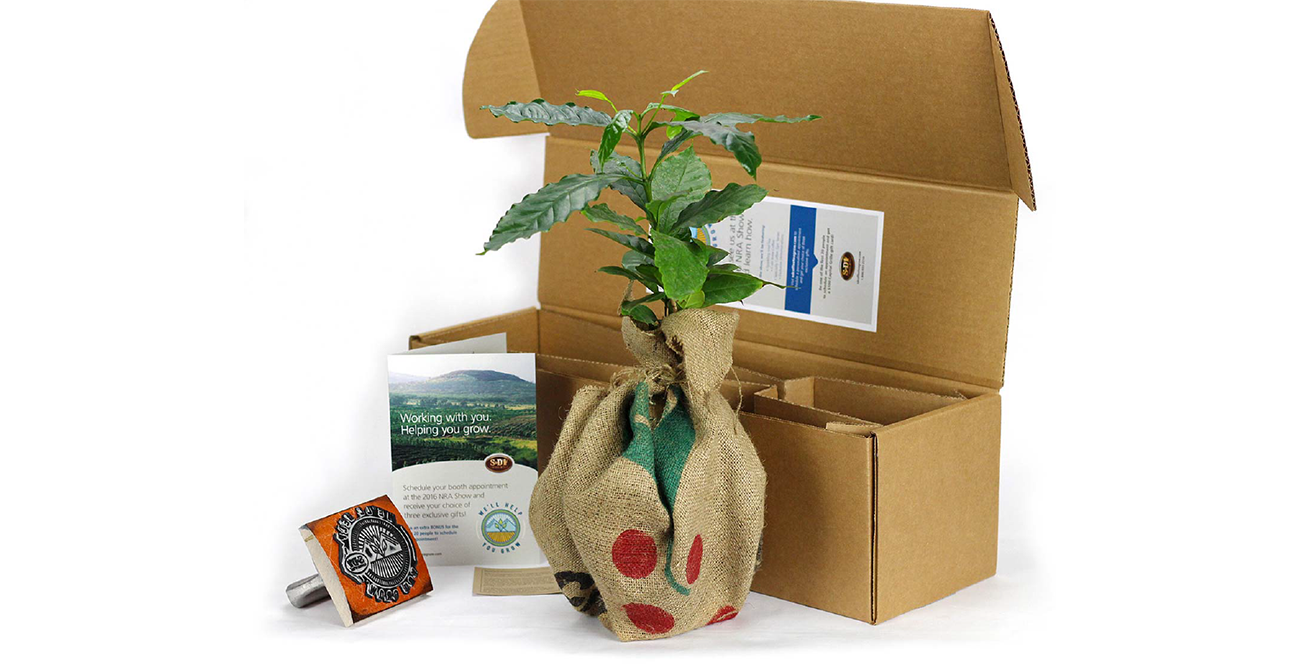 tree direct mailer